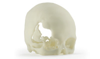 image 41 | Materials | Rapid PSI
